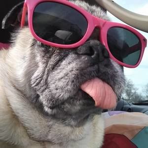 Meet your Posher, Brenda